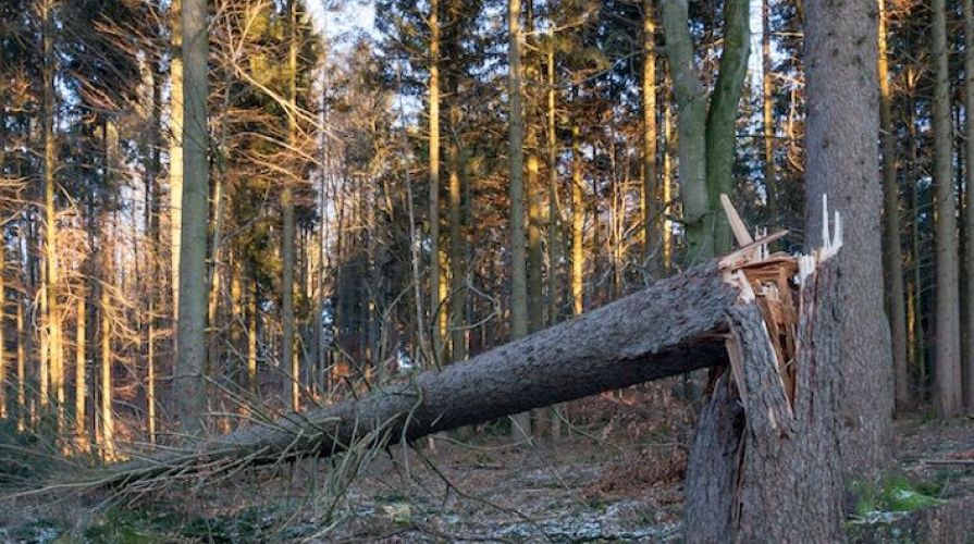 Stadtteilbibliotheken Stammheim und Zuffenhausen: