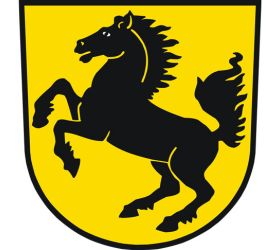 Buch Rückblick Zuffenhausen